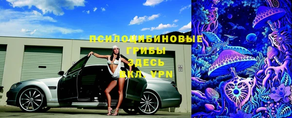 ECSTASY Алексеевка