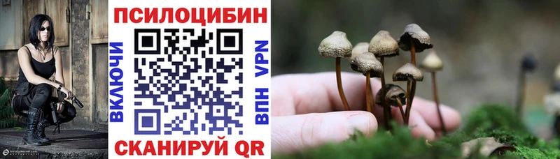 закладка  мега сайт  Псилоцибиновые грибы MAGIC MUSHROOMS  Кочубеевское 